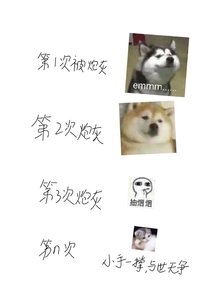 炮灰n次后我成功感化了男主